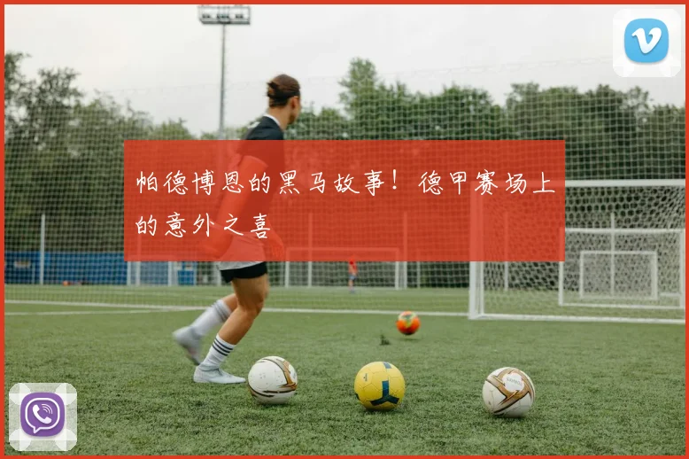 帕德博恩的黑马故事！德甲赛场上的意外之喜